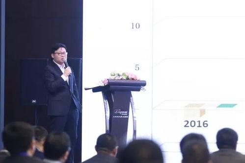 董宁演员,光影交织下的演艺人生