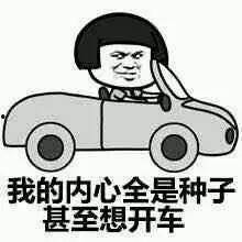 夏天开车表情包,笑出声的炎炎夏日行车瞬间